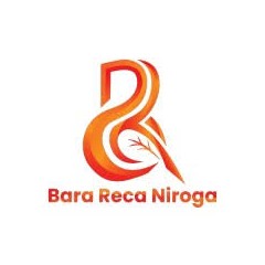 Logo PT Bara Reca Niroga
