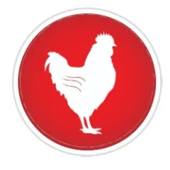 logo Urban Chicken