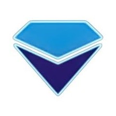 Logo PT Diamond International Indonesia