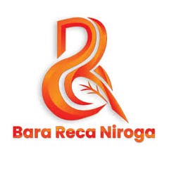 Logo PT Bara Reca Niroga