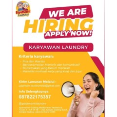 Logo papi mami laundry