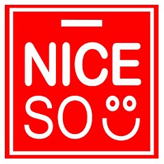 Logo PT Niceso Sukses Indonesia