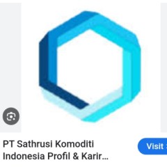 Logo PT SKIN INDONESIA